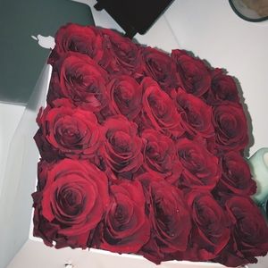 Meet your Posher, Michelle